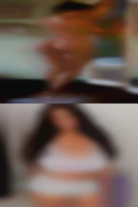 Hipolitohebdon, , 