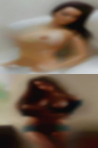 Elainacicala, , 