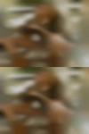Black pussy Texas