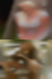 landBoback, , 